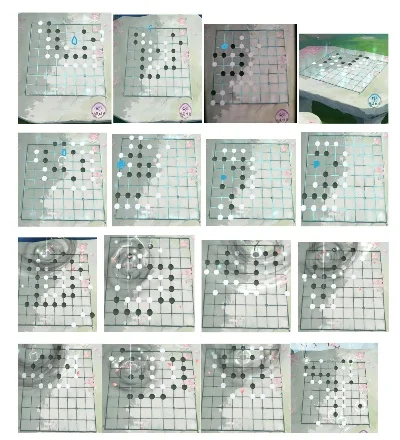 大多数游戏的棋谱攻略图　大多数吧